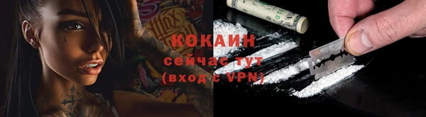 ПСИЛОЦИБИНОВЫЕ ГРИБЫ Аркадак