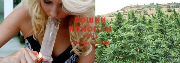 ПСИЛОЦИБИНОВЫЕ ГРИБЫ Аркадак