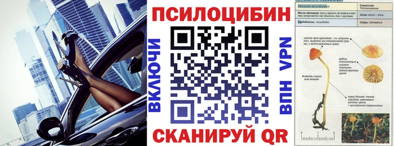 Псилоцибиновые грибы Psilocybe  Заозёрск 